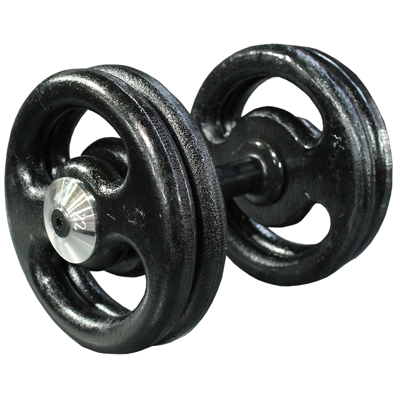 dumbbell-pintado3